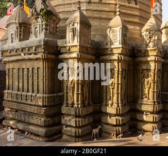 A goat stands underneath the rock cut bas reliefs on the walls of the ancient the Kamakhya temple, an important HIndu pilgrimage site in Guwahati. Stock Photo