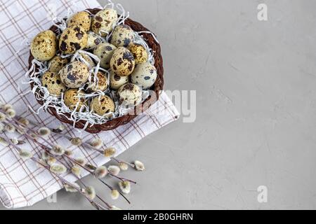 Quail eggs are placed in a wicker basket next to a willow twig. Getting ready for Easter. On white background. Copy space Stock Photo