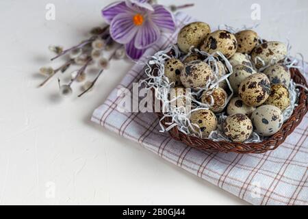 Quail eggs are placed in a wicker basket next to a willow twig. Getting ready for Easter. On white background. Copy space Stock Photo
