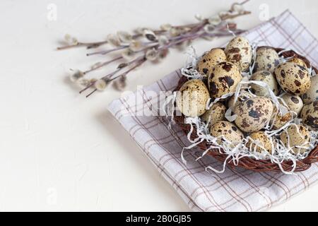 Quail eggs are placed in a wicker basket next to a willow twig. Getting ready for Easter. On white background. Copy space Stock Photo