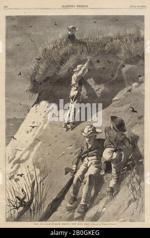 After Winslow Homer, American, 1836–1910, Raid on a Sand-Swallow Colony—'How Many Eggs?', From Harper's Weekly, vol. 18, 13 June 1874, Wood engraving on newsprint, Image: 13 3/8 x 9 in. (34 x 22.9 cm Stock Photo