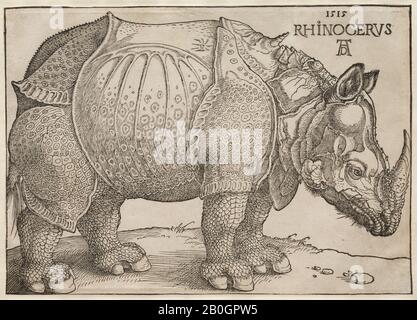 Albrecht Dürer, German, 1471–1528, The Rhinoceros, 1515, Woodcut on paper, image: 8 1/4 x 11 5/8 in. (21 x 29.6 cm Stock Photo