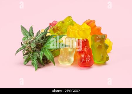 Gummy Bear Medical Marijuana Edibles, Candies Infused with CBD or THC, with Cannabis Bud Isolated on Pink Background Stock Photo