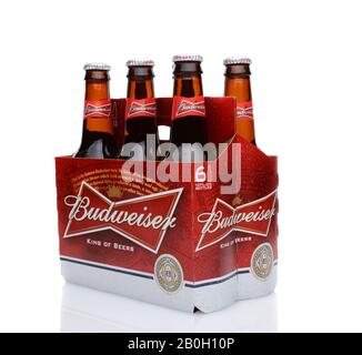 IRVINE, CA - MAY 25, 2014: A 6 pack of Budweiser, side view. Introduced in 1876 by Adolphus Busch, Bud has become one of the best selling beers in the Stock Photo