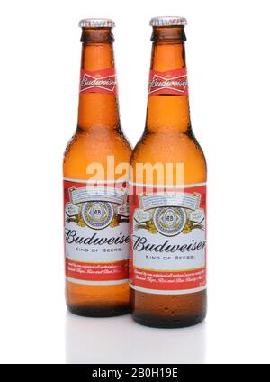 IRVINE, CA - MAY 27, 2014: Two bottles of Budweiser with condensation. From Anheuser-Busch InBev, Budweiser is one of the top selling domestic beers i Stock Photo