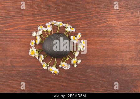 Concept. Stone is the sun, the flowers are the rays of the sun. Top view Stock Photo