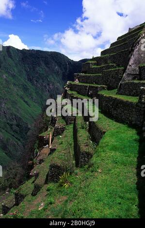 SOUTH AMERICA, PERU, SACRED VALLEY, MACHU PICCHU, TERRACED FIELDS Stock Photo