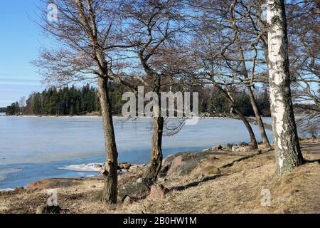 Beautiful landscape from Espoo, Finland. This photo shows the half-frozen Baltic Sea during spring with some trees and forest in the horizon. Blue sky Stock Photo