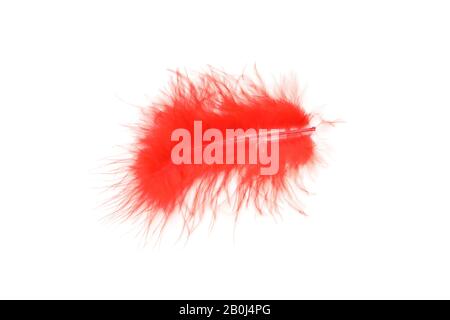 Red Feathers Isolated On White Background Stock Photo, Picture and