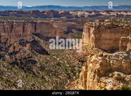 Navajo sandstone canyons and mesas in Sids Mountain Wilderness Study Area, from Ghost Rock viewpoint on I-70 Freeway, San Rafael Swell area, Utah, USA Stock Photo