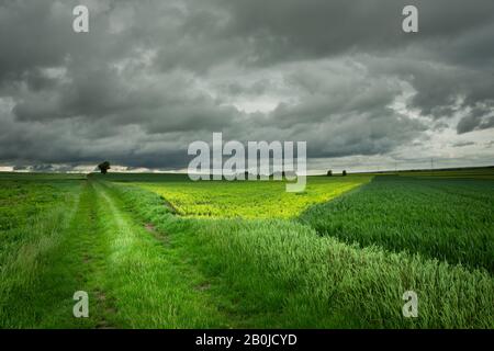A grassy road through green fields and a dark cloudy sky, rainy spring day Stock Photo