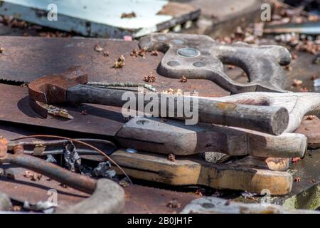 Old tools are forgotten outdoors on a leaf covered table Stock Photo
