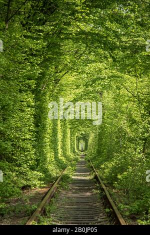 inside Ukraine's 'tunnel of love' Stock Photo