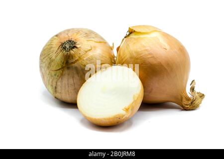 onion isolated on white background Stock Photo
