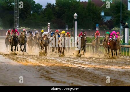 Maximum Security, ridden by Jockey Luis Saez leads the pack toward the finish line of the 145th running of The Kentucky Derby on May 4, 2019 at Churchill Downs in Louisville, Kentucky. Stock Photo