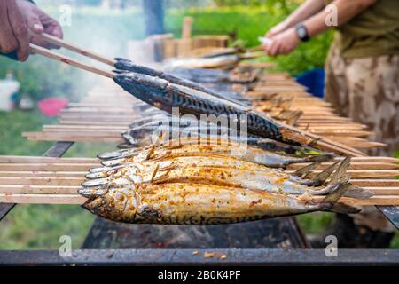 roasting mackerel on a charcoal grill during an outdoor picnic in the park. fish as a delicacy to eat Stock Photo