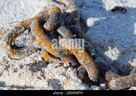 Closeup of a large link rusty iron chain covered by coarse sand on the beach at low  tide . Stock Photo