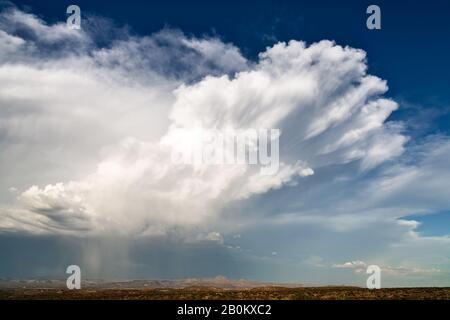 Dramatic sky with cumulonimbus clouds building as a thunderstorm develops near Globe, Arizona Stock Photo