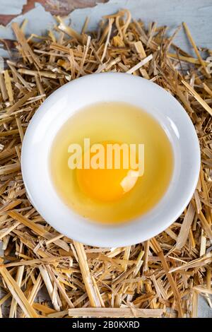Bright yellow egg yolks in a white bowl Stock Photo