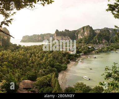 High angle view of palm tree plantation at Railay Beach during sunset Stock Photo