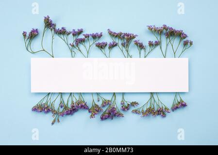 On a blue background there are dried flowers covered with white tape Stock Photo