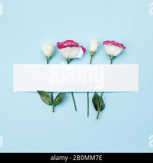 On a beautiful blue background lie roses, top view, place for writing text, place for advertising Stock Photo