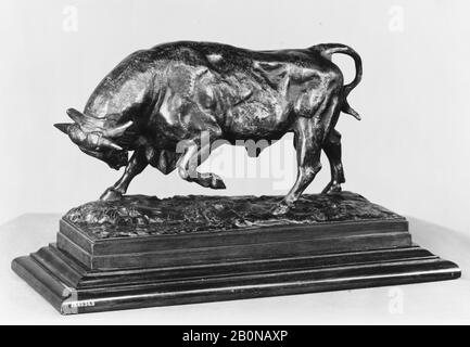 Antoine-Louis Barye, Bull on the Defensive, French, Antoine-Louis Barye (French, Paris 1795–1875 Paris), modeled ca. 1841, French, Bronze, brownish green patina; wood, Overall (without base):6 3/4 × 11 in. (17.1 × 27.9 cm), Sculpture-Bronze Stock Photo