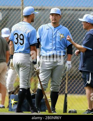 Kevin Kiermaier, right, of the Tampa Bay Rays, and teammate Desmond News  Photo - Getty Images
