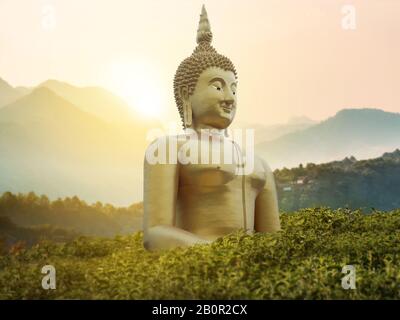 big great powerful Buddha statue in gold color in the middle of green park on the mountain with beautiful sunset or sunrise and wonderful nature scene Stock Photo