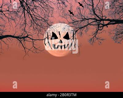 Halloween background. Spooky forest with silhouette dead trees and full moon on red sky. scary scene wallpaper with copy space for halloween backgroun
