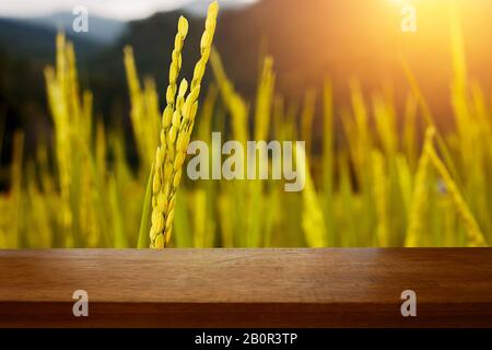 wood board table in front of field of golden paddy rice in the rice field with morning light. Ready for product display montage Stock Photo