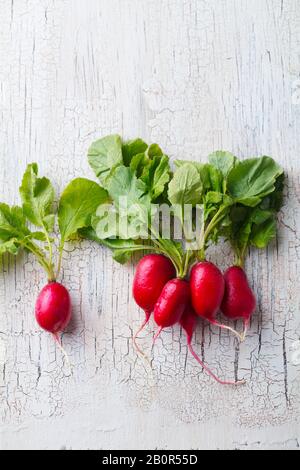 Radish on white wooden background. Copy space. Top view. Stock Photo