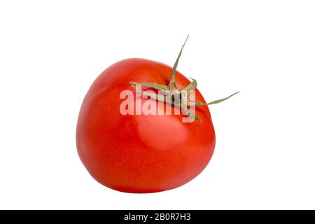 image of ripe vegetable red tomatoes with a tail on a white background Stock Photo