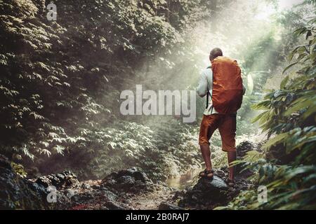 Traveler or hiker with backpack stands in waterfall water dust against sunlight and jungle Stock Photo