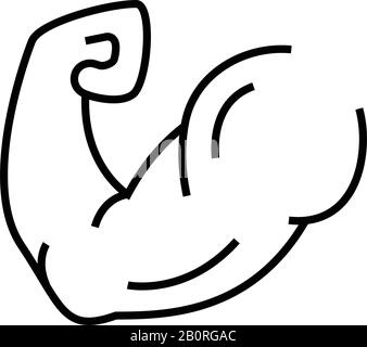 Strong arm, bodybuilding vector line icon, linear concept, outline sign,  symbol Stock Vector Image & Art - Alamy