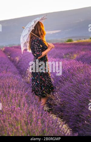 Girl in a dress with flowers and big white umbrella in the lavender fields in Provence, Valensole, France. Picturesque summer nature landscape and agr Stock Photo