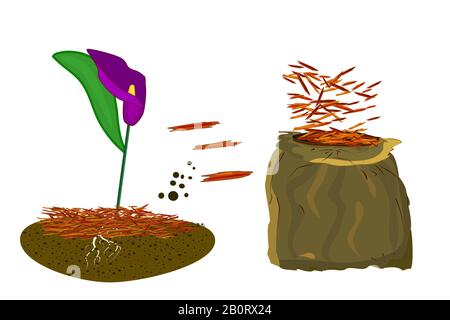 Mulch gardening concept with calla lilies, mulch and bag isolated on white. Agriculture countryside outdoor seasonal work. Mulching of plants. Vector Stock Vector