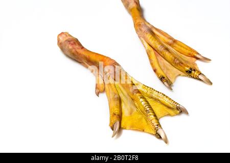 raw duck feet. food ingredient Stock Photo - Alamy