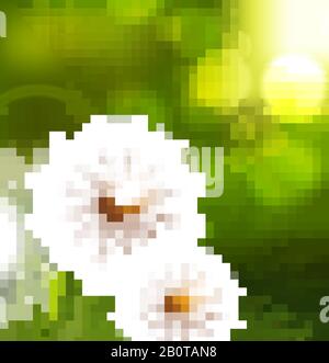 Dandelion field vector spring conceptual background. Realistic dandelion flower, illustration of fluff dandelion on green field Stock Vector