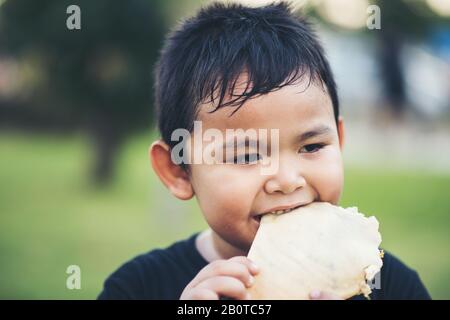 Little boy eating food fresh bread roll sandwich Stock Photo