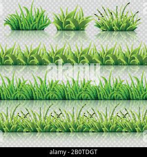 Green grass vector seamless borders set. Grass border nature, illustration of field summer grass Stock Vector