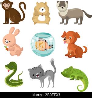 Cartoon cute home pets vector collection. Set of pets animal, illustration of cartoon pets lizard, rabbit and snake Stock Vector