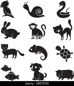 Pets and home animals vector icons. Dog and cat animal, home turtle and snake illustration Stock Vector