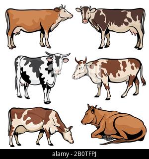 Farm cows, dairy cattle in cartoon vector style. Animal farm cartoon, cattle farming illustration Stock Vector