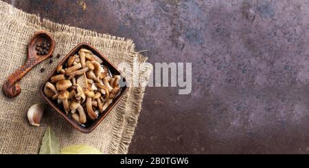 Pickled forest mushrooms honey agarics in ceramic bowl and spices on burlap napkin on old rusty metal baking sheet. Wide banner. Fermented food. Susta Stock Photo