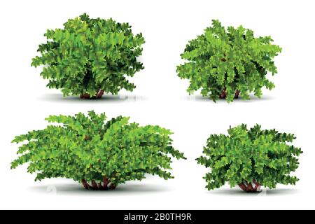 Shrubbery, 3d isometric bushes isolated on white vector set. Green shrubbery illustration Stock Vector