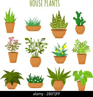 Indoor house green plants and flowers isolated on white vector set. Green plants in pots, illustration of green garden flower plant Stock Vector