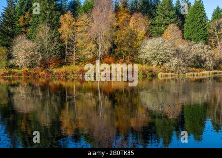 Autumn reflections in Penicuik High Pond, Penicuik Estate, Midlothian, Scotland, United Kingdom Stock Photo