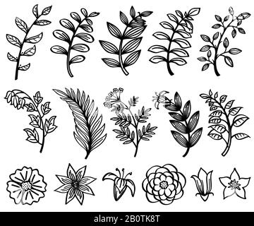 Sketch hand drawn branch and leaves vector decorative floral nature element. Branch sketch black and floral flower illustration Stock Vector