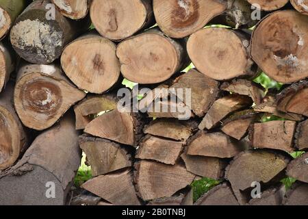 Cut wooden logs piled in rustic outdoor arrangement Stock Photo